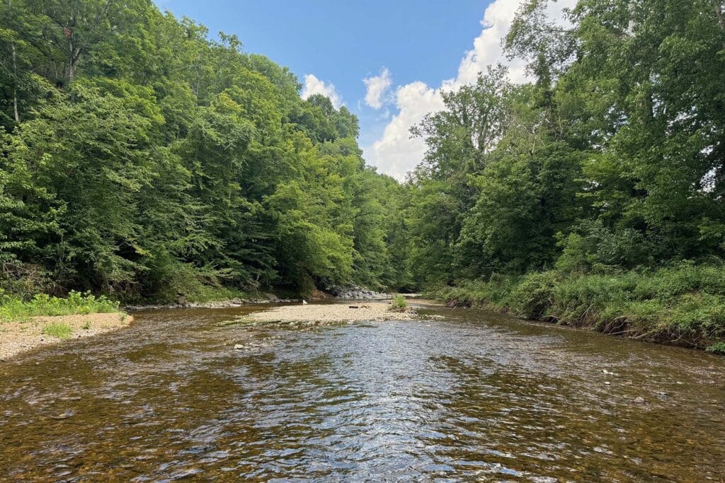 Blackburn Fork WMA