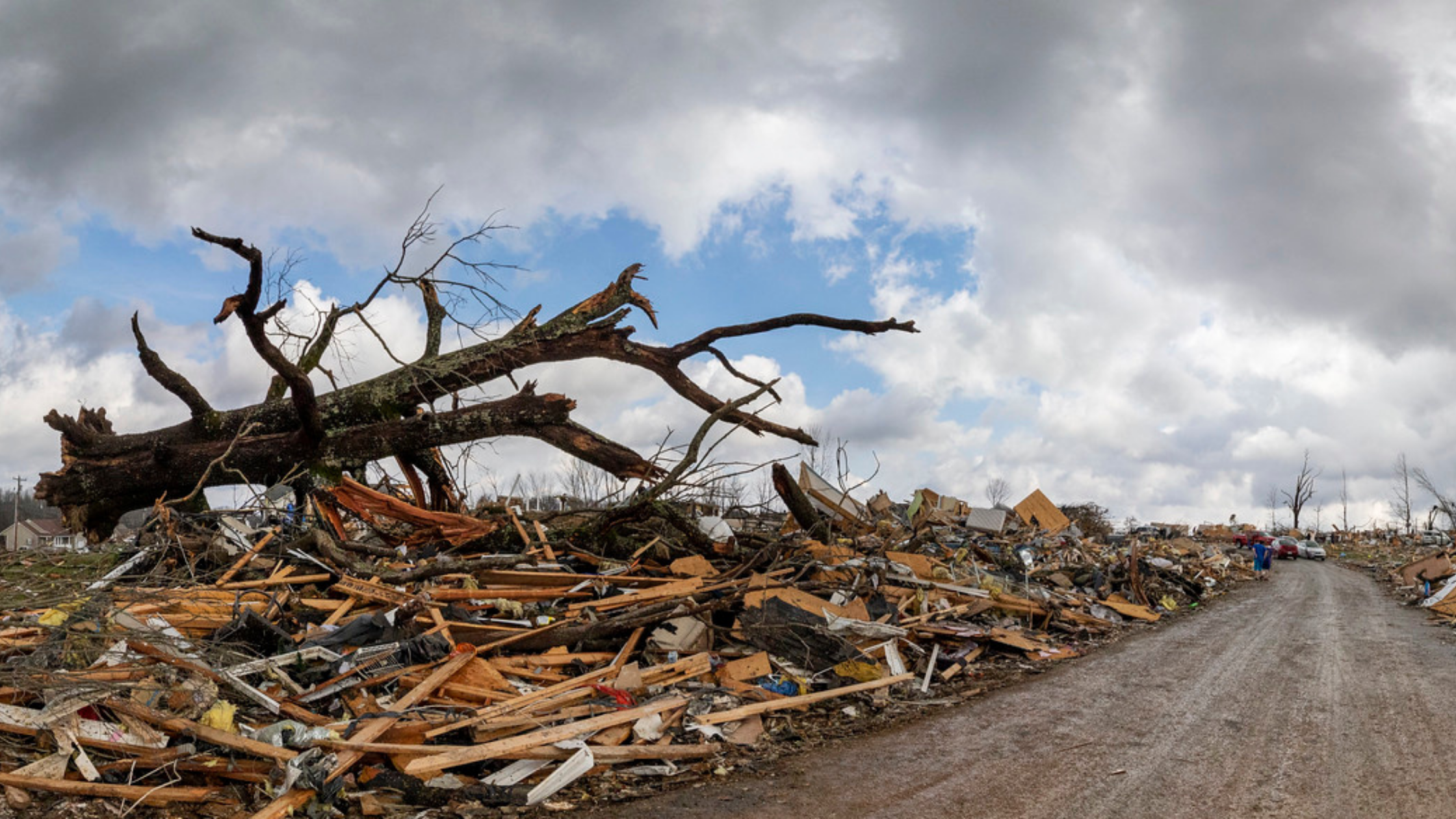 Fallen tree and wreckage from the devastating March 3rd tornado.