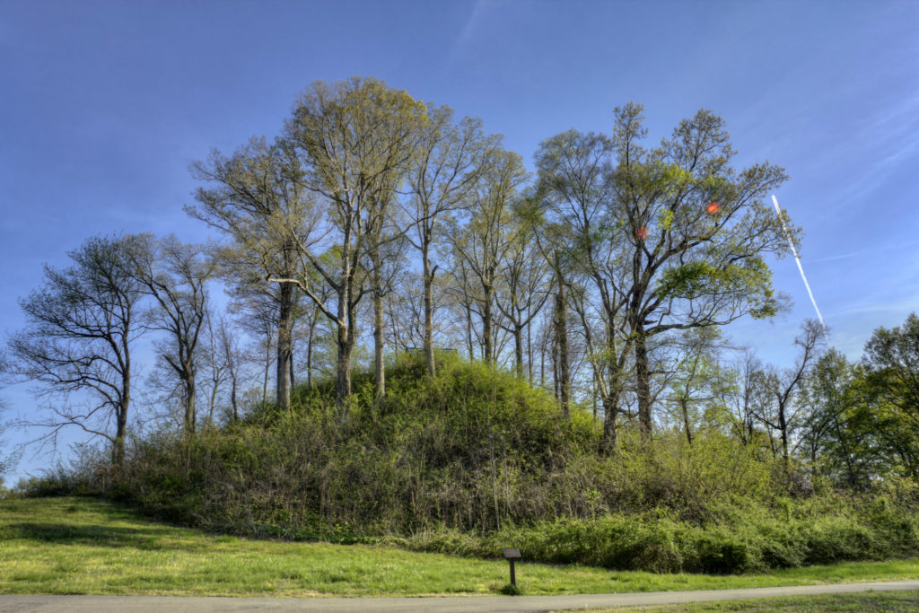 Green trees atop a mound in front of blue skies