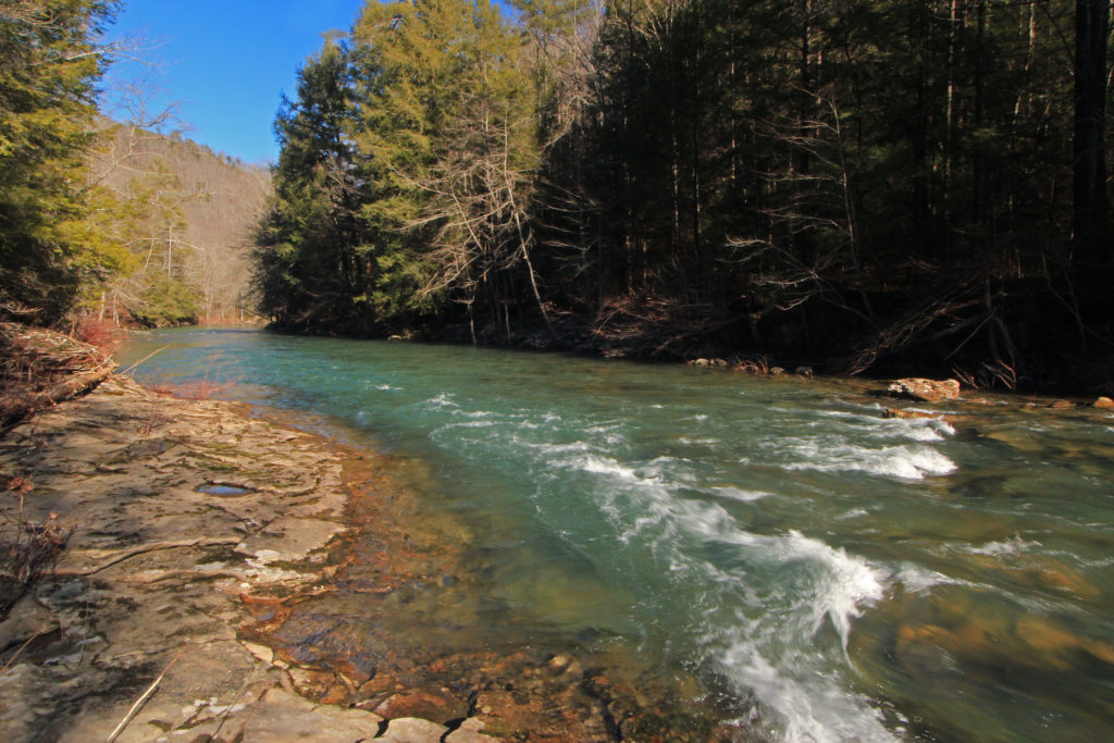 piney-river-bluffs-tenngreen-land-conservancy