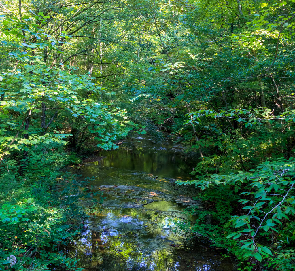 Beaman Park Hike - TennGreen Land Conservancy