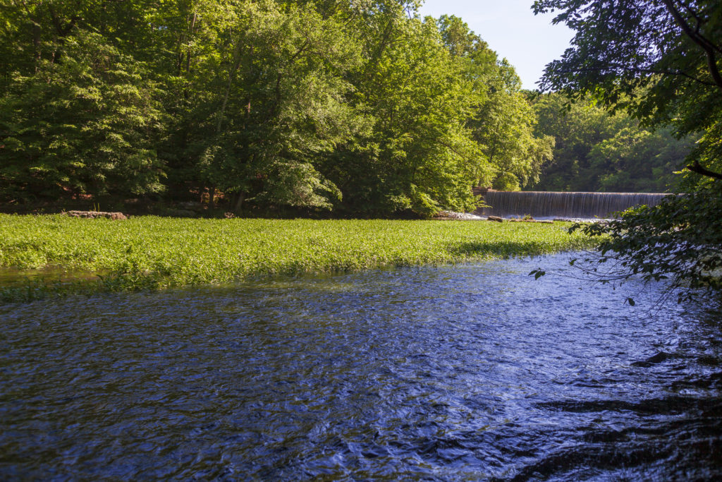 25 Favorite Places In Tennessee - TennGreen Land Conservancy