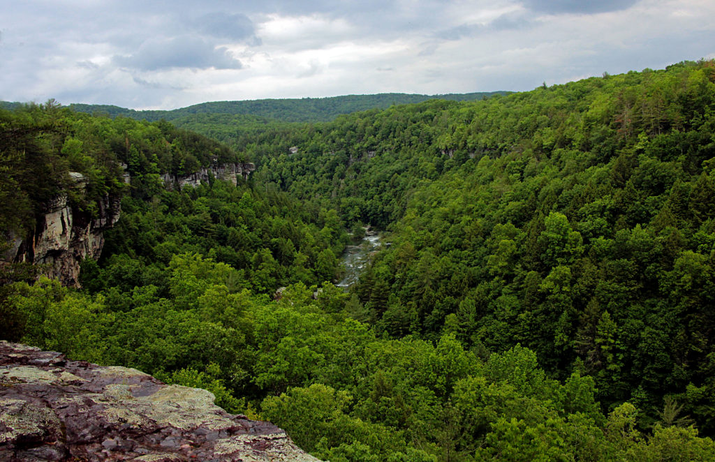 Obed Wild & Scenic River Partners with the National Park