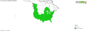 tree of heaven distrubtion north america map