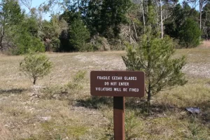 cedar glade protected nps