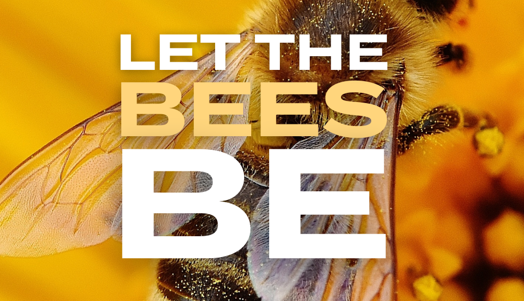 Let the Bees Be