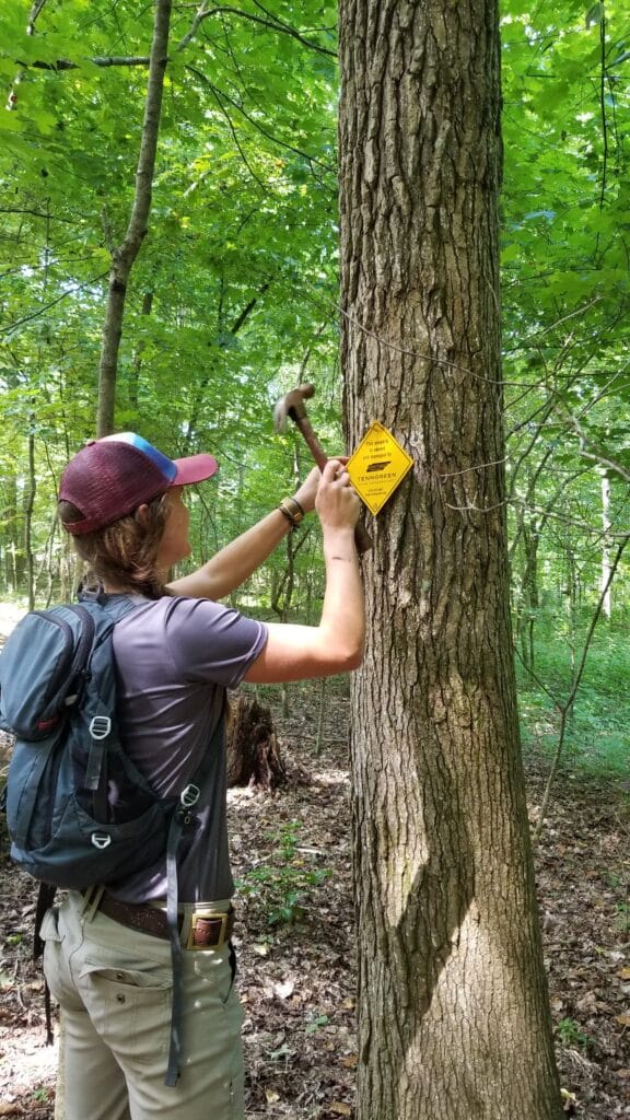 8_7_2020 conservation easement boundary tin kristen hanratty