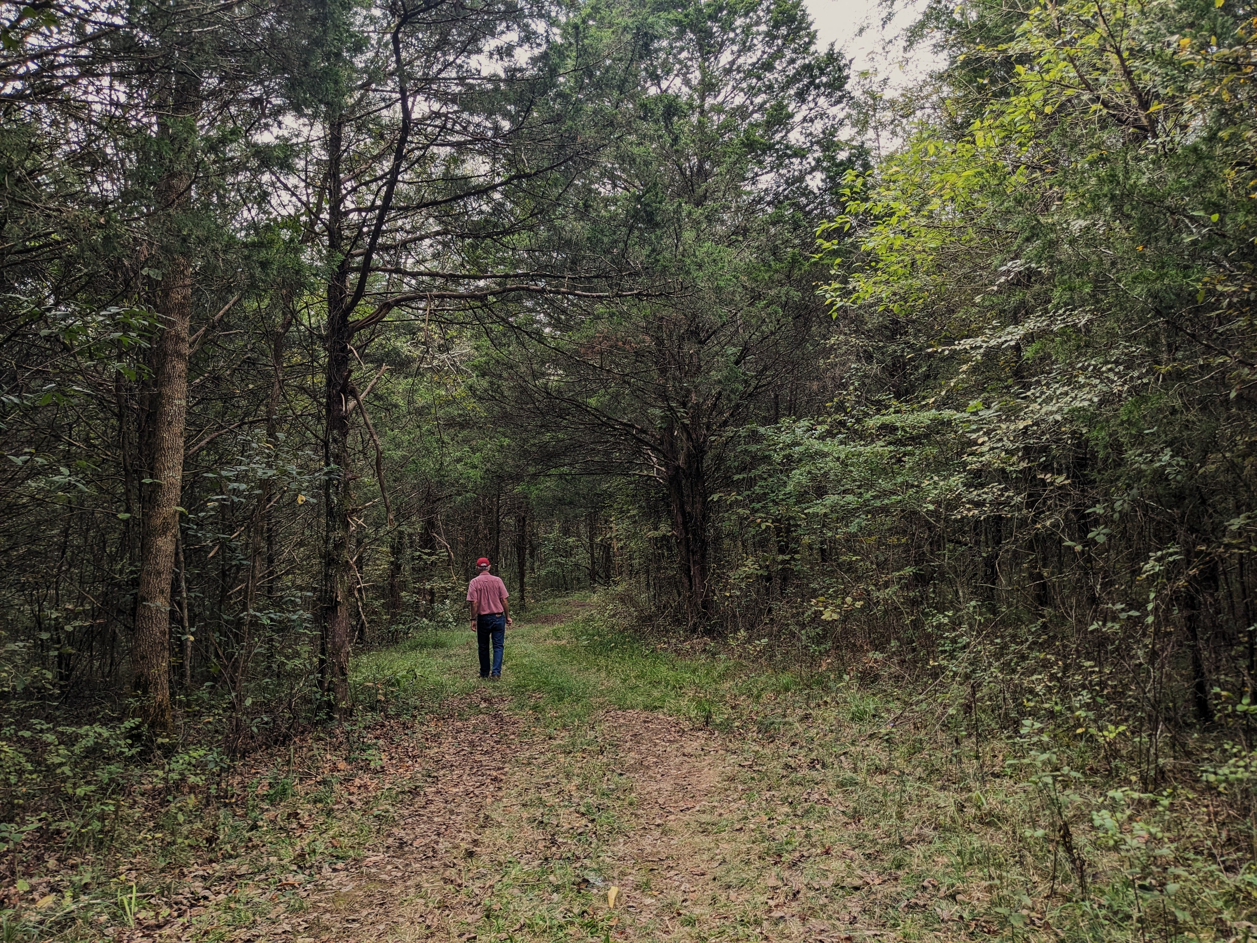 Rockdale Cedar Glades Allan Walking TennGreen Land Conservancy