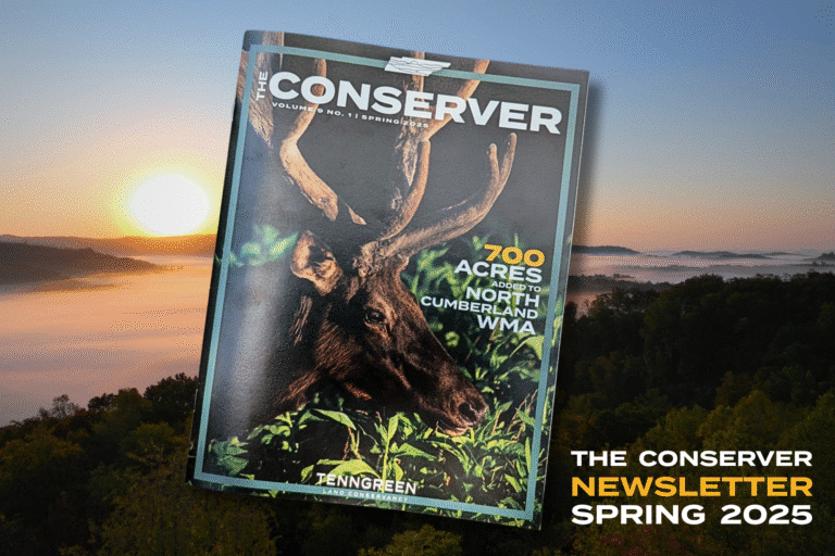 The Conserver Spring 2025 Newsletter TennGreen Land Conservancy 2