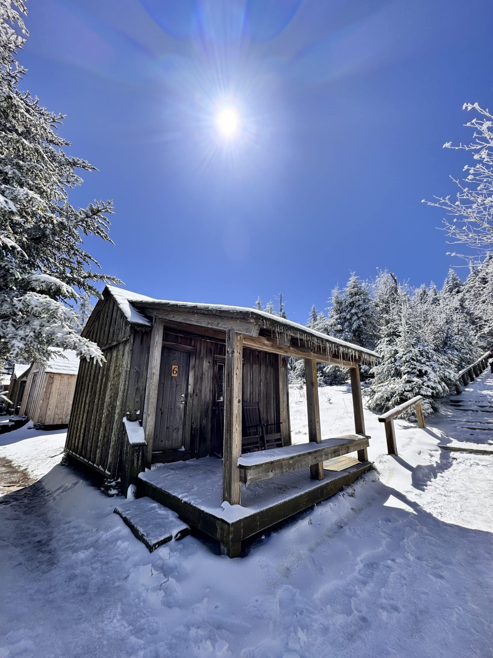 Cabin surrounded by snowy forest on a sunny day