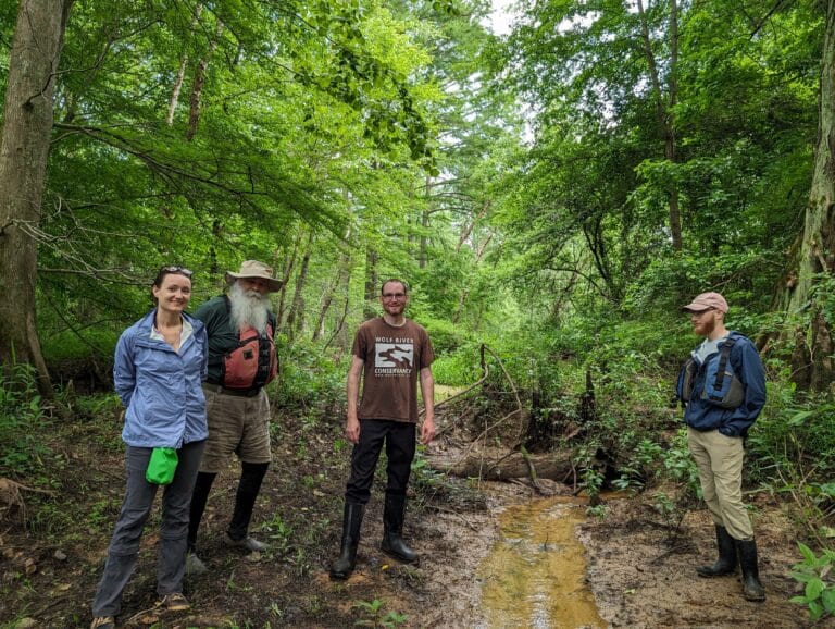 Tenngreen Land Conservancy Wetlands Bill Statement Wolf River Conservancy