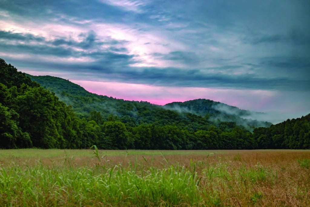 Dry Creek Headwaters - credit Chuck Sutherland