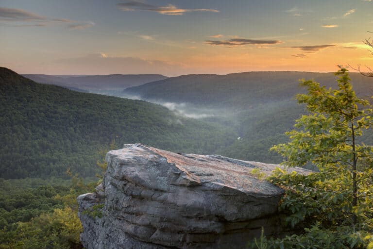 Welch's Point Scotts Gulf Wilderness State Park by Chuck Sutherland
