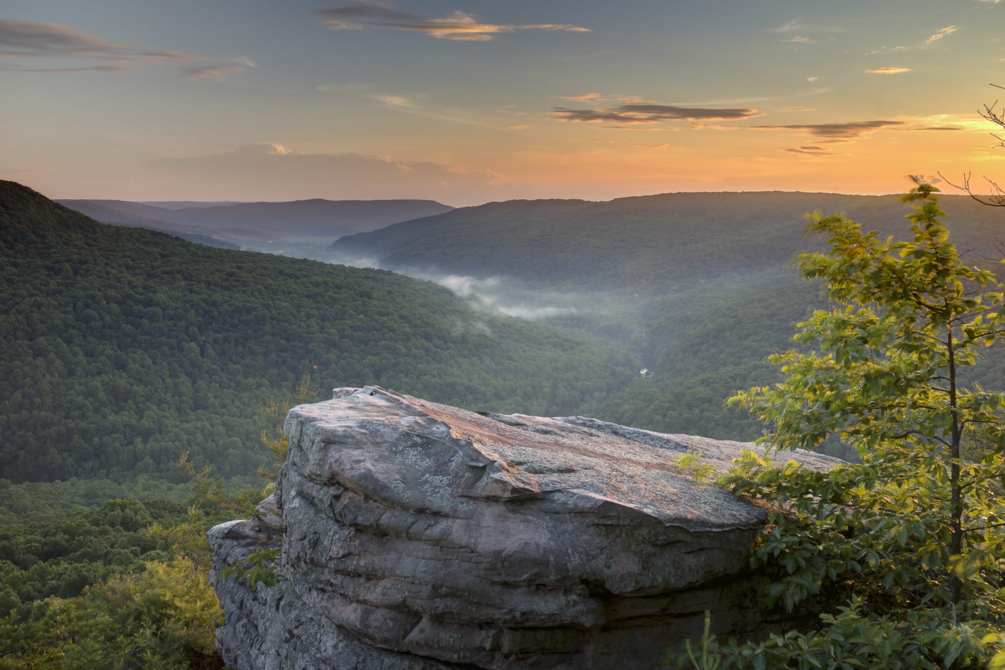 Welch's Point Scotts Gulf Wilderness State Park by Chuck Sutherland