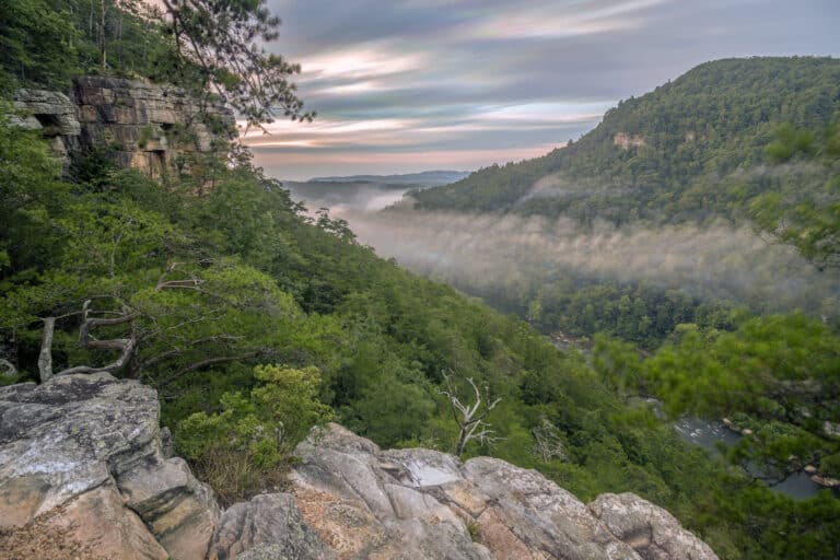roadless rule tennessee cherokee national forest chuck sutherland