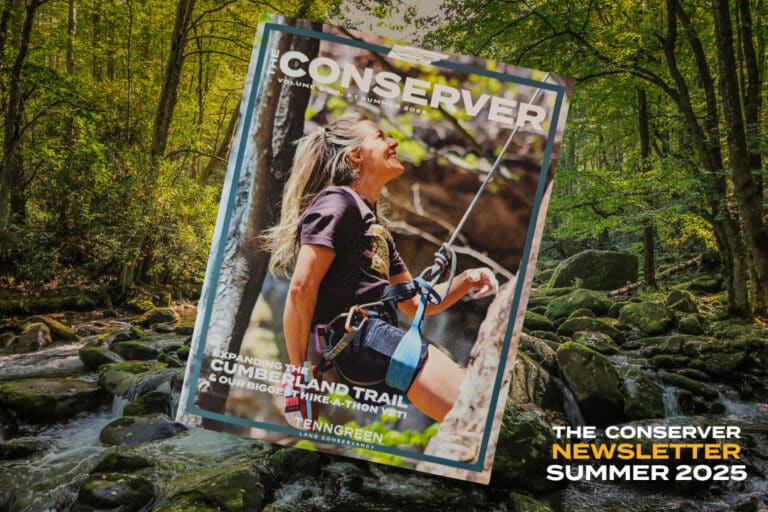 Conserver Summer 2025 Cover