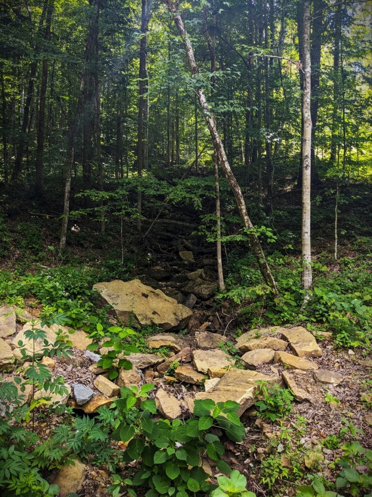 Mill Creek Conservation Easement TennGreen Land Conservancy Kristen Hanratty 2