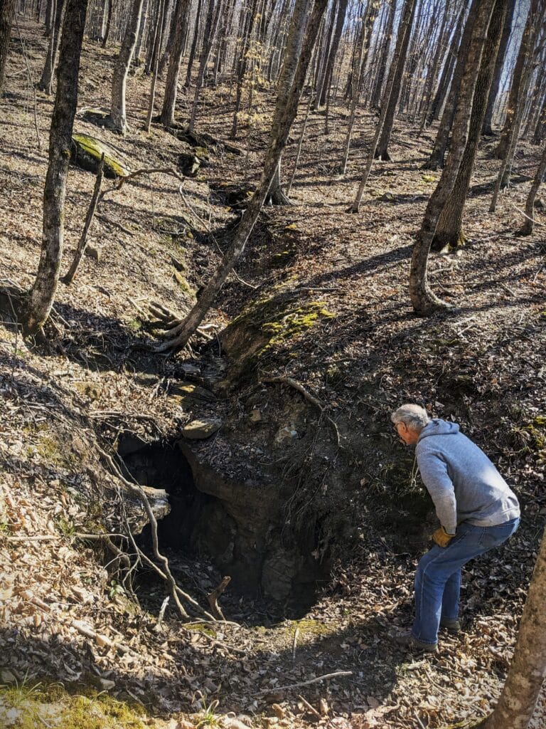 Stephen Idem peers into a Mill Creek Forest sinkhole, by Kristen Hanratty, TennGreen Land Conservancy