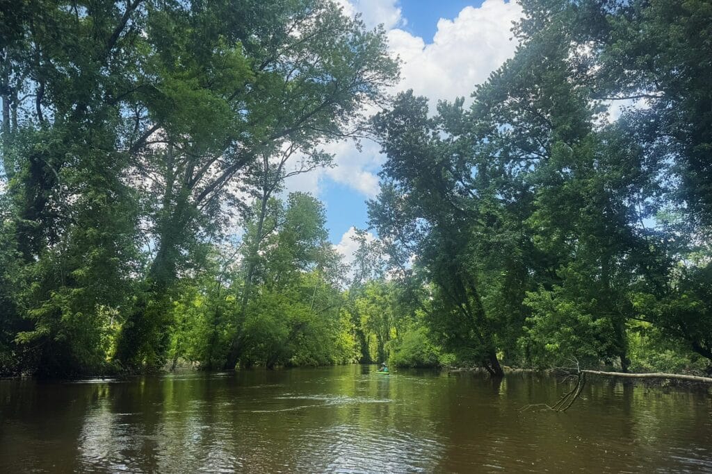 Stoltzfus Tract Hatchie River by Christie Henderson TennGreen