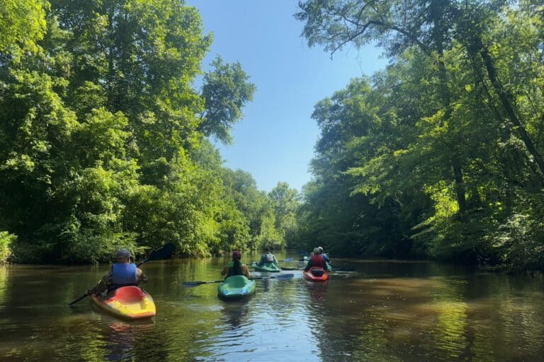 Stoltzfus Tract Hatchie River by Christie Henderson TennGreen 2