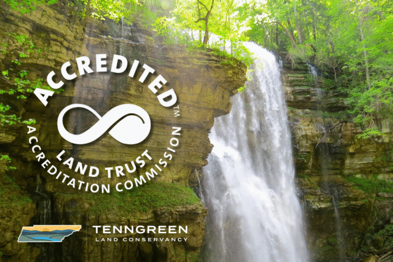 TennGreen Land Conservancy Trust Alliance Accreditation Renewal