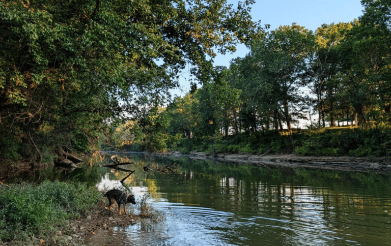 Duck River Watershed Conservation TennGreen Land Conservancy
