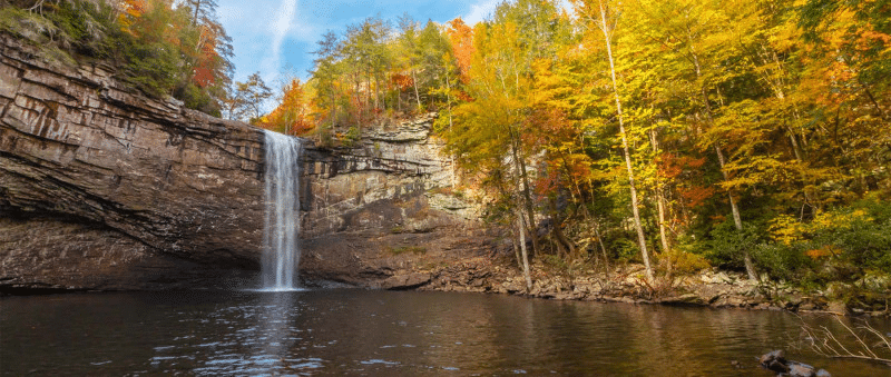 Foster Falls Fiery Gizzard