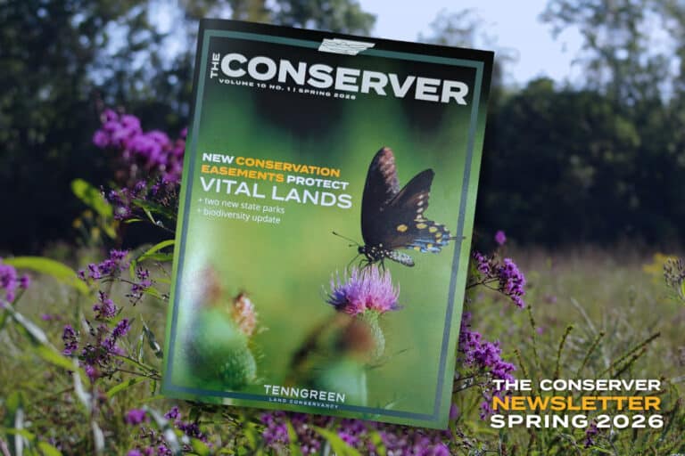 Cover of the Spring 2026 issue of The Conserver