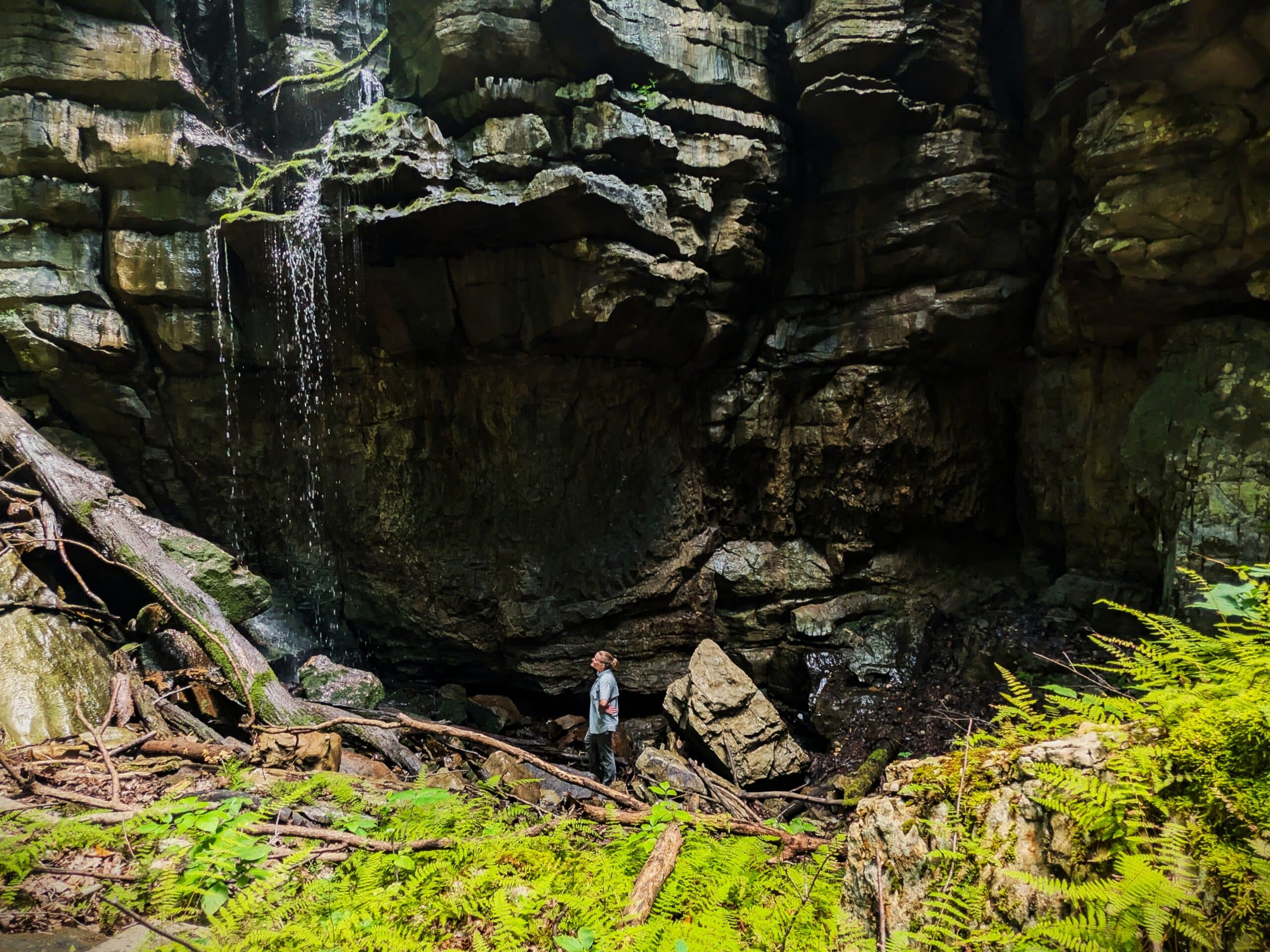 Head of the Crow State Park Expansions Further Protect Biodiverse South Cumberland Plateau TennGreen Land Conservancy Christy Henderson by Jon D B