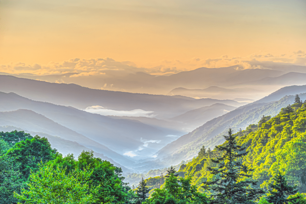East TN Great Smoky Mountains TN SWAP TennGreen