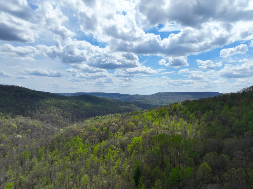 Lost Creek Forest Expansion at Scott's Gulf Wilderness State Park Drone Shot Jon D Bumpus TennGreen Land Conservancy