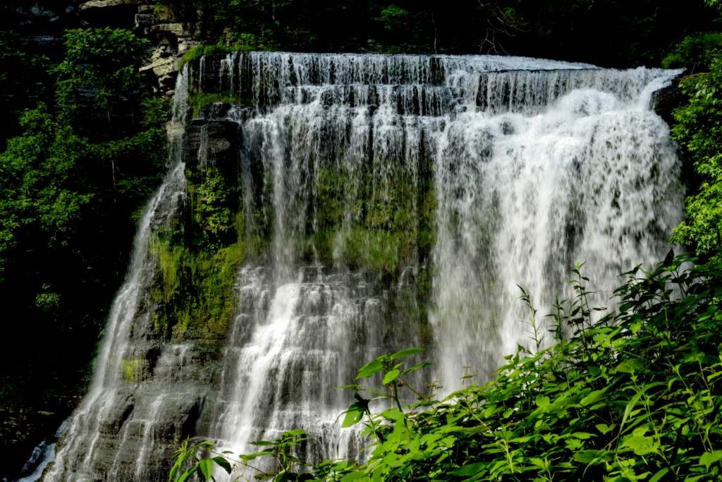 Middle TN Burgess Falls TennGreen