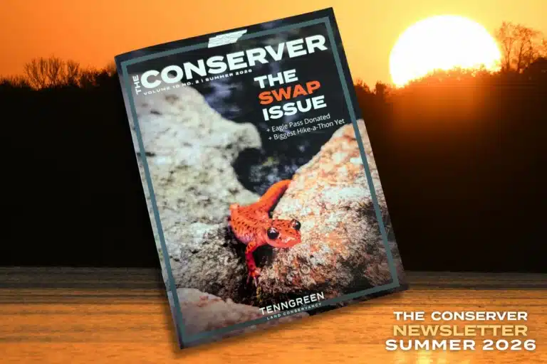 Cover of The Conserver, Summer 2026 edition, with a sunset and river background image