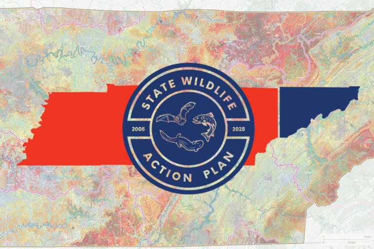 Tennessee State Wildlife Action Plan SWAP TennGreen